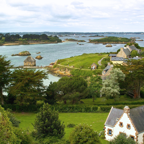 Vacances en Île de France avec son chien