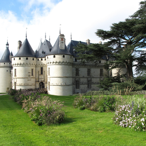 Partir en vacances au Pays de la Loire avec son chien