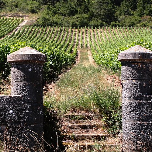 Vacances en Bourgogne France Comté avec son compagnon à quatre pattes