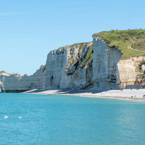 Séjour relaxant en Normandie avec son chien