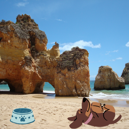 Découvrez le Portugal avec votre chien